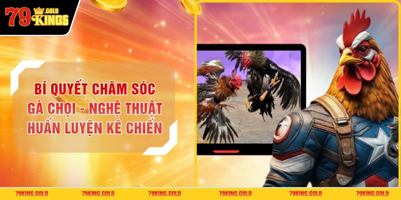Bí Quyết Chăm Sóc Gà Chọi - Nghệ Thuật Huấn Luyện Kê Chiến