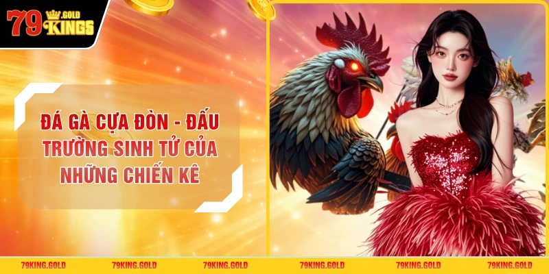Đá Gà Cựa Đòn - Đấu Trường Sinh Tử Của Những Chiến Kê